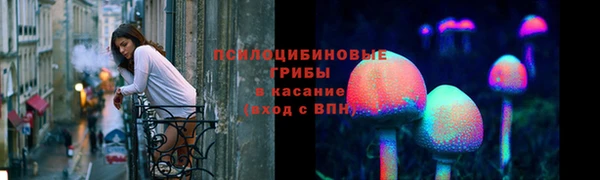 молекула духа Богданович