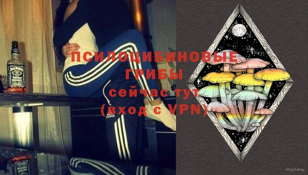 дмт Покровск