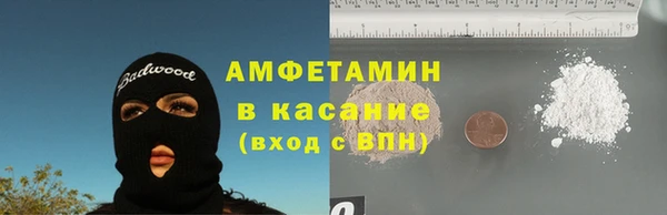 молекула духа Богданович