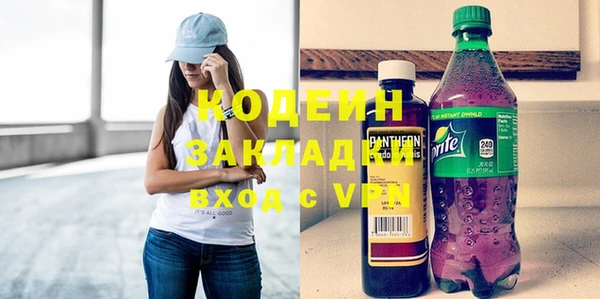 молекула духа Богданович