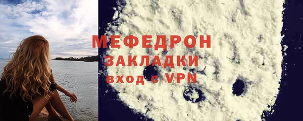 молекула духа Богданович