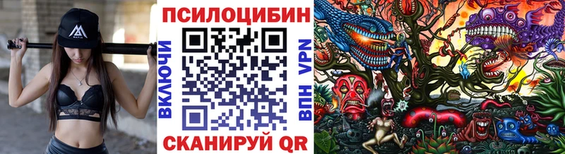 Галлюциногенные грибы Psilocybine cubensis  Наро-Фоминск 
